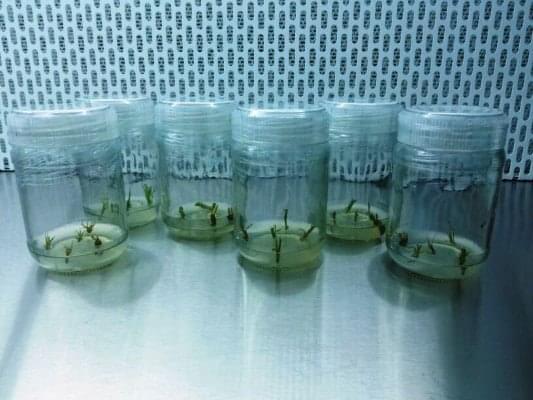 KK Wagh College of Agricultural Biotechnology Nashik Campus photo 10